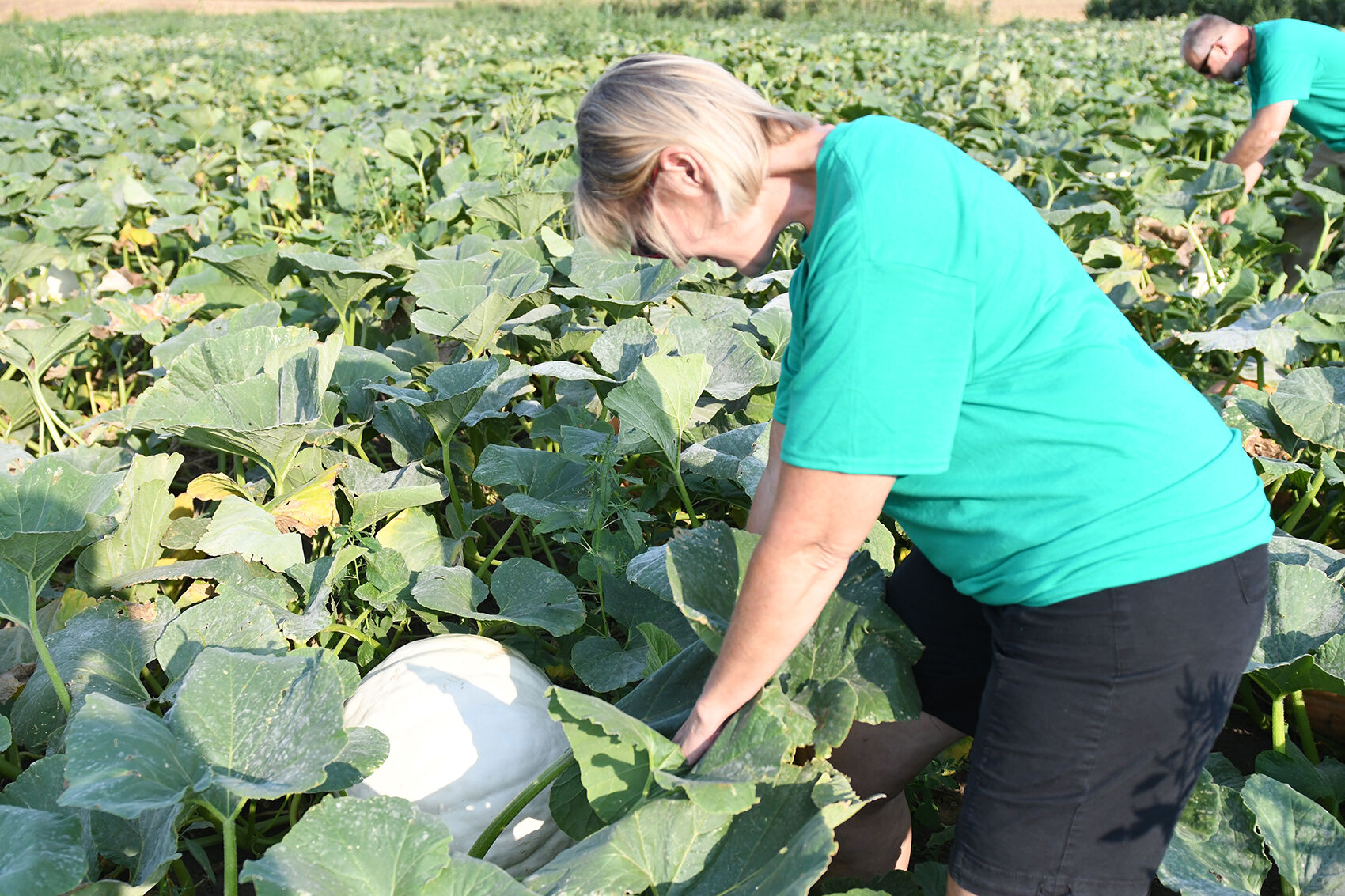 At the Fields of Fun pumpkin patch